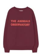 Browned Farnet Leo Sweatshirt Tops Sweat-shirts & Hoodies Sweat-shirts...