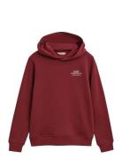 Graphic Hoodie Tops Sweat-shirts & Hoodies Hoodies Multi/patterned GAN...