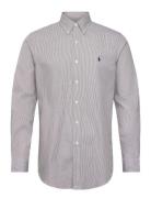 Custom Fit Striped Stretch Poplin Shirt Tops Shirts Casual Multi/patte...