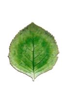 Bladfad Hydrangea L Home Decoration Decorative Platters Green Costa No...