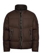Bi-Tm Down Jacket Vuorillinen Takki Topattu Takki Brown C.P. Company